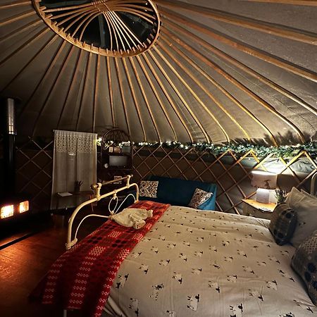 فندق Sunbank Yurt لانغولين المظهر الخارجي الصورة