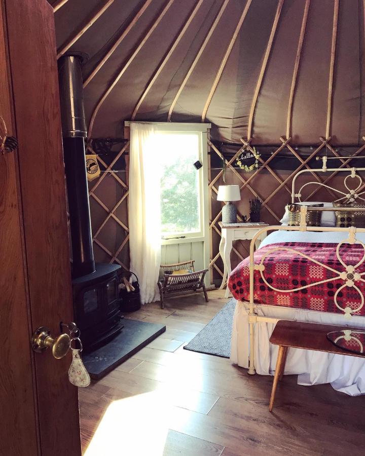 فندق Sunbank Yurt لانغولين المظهر الخارجي الصورة